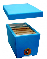 Нуклеус (без рамок)